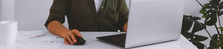 A person filing paperwork online