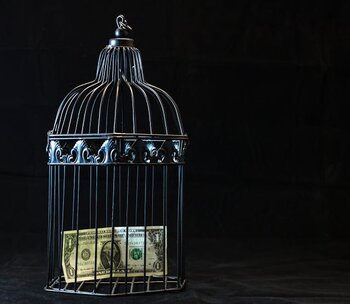 a_dollar_bill_in_a_cage