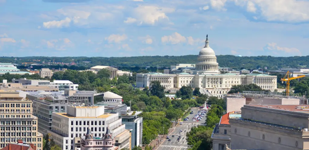 华盛顿特区城市图标 (1)